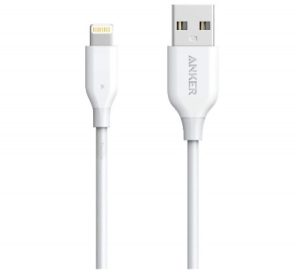 Image of Apple Lightning to USB cable